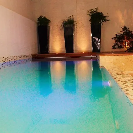 Hotel Mermoz Tuluza